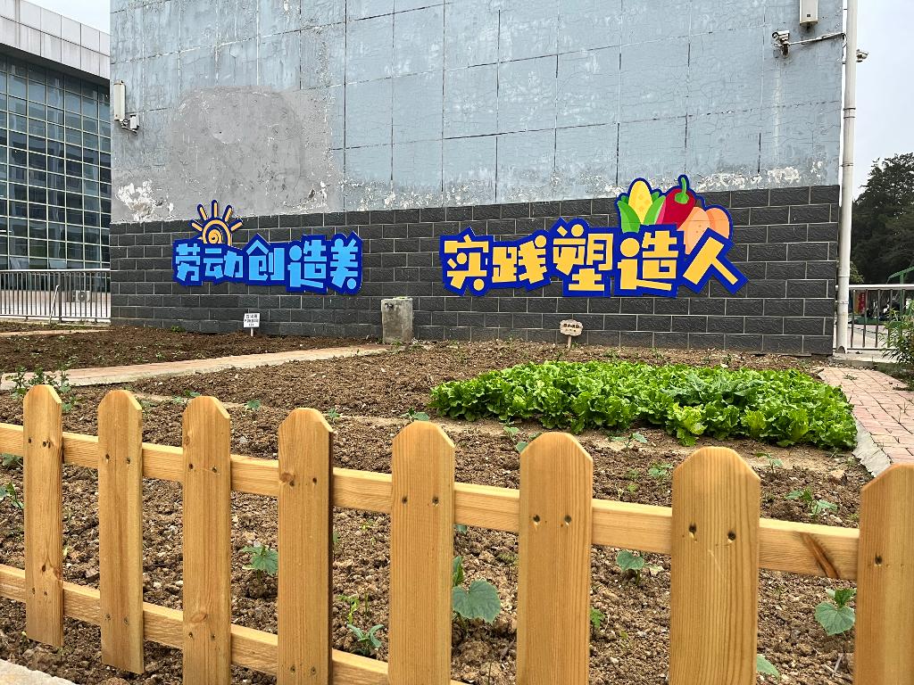 B332B27D53DF2BEE1B3AA0C8EAD17749.png